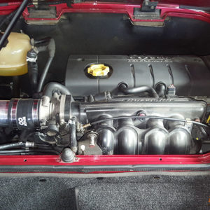 Cullasse-lotus-8